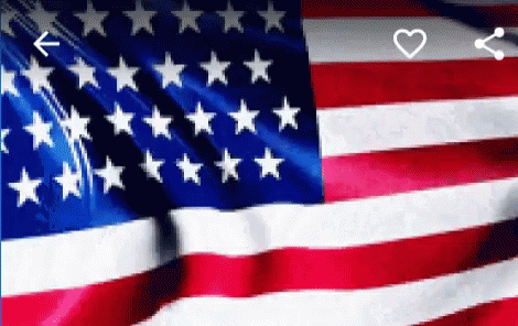 Usa Flag GIF - Usa Flag Waving GIFs