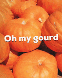 Orange Oh My Gourd GIF - Orange Oh My Gourd Pumpkin GIFs