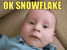 Ok Snowflake Millennials GIF - Ok Snowflake Snowflake Millennials GIFs