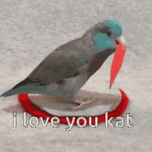 Kat I Love You GIF - Kat I Love You I Love You Kat GIFs