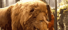 Aslan The Lion The Witch And The Ward GIF - Aslan The Lion The Witch And The Ward Narnia GIFs