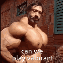 Valorant Can We Play Valorant GIF - Valorant Can We Play Valorant Epic Gamers Server GIFs