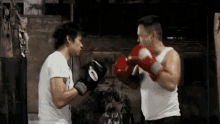 Boxing Phranakorn Film GIF - Boxing Phranakorn Film Throwing Punches GIFs
