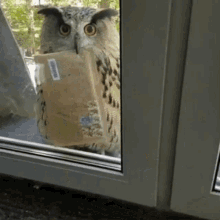 Youve Got Mail Get The Mail GIF - Youve Got Mail Mail Get The Mail GIFs