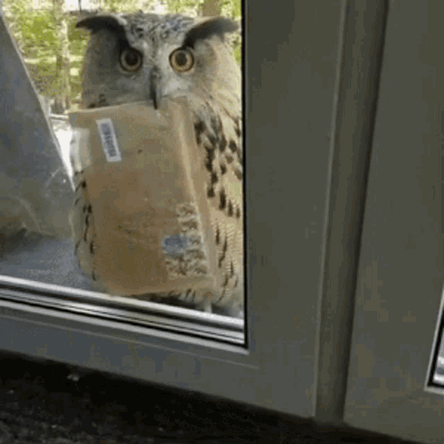 Youve Got Mail Get The Mail GIF - Youve Got Mail Mail Get The Mail GIFs