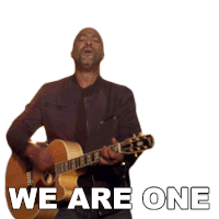 We Are One Darius Rucker Sticker - We Are One Darius Rucker True Believers Song Stickers