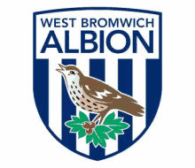 West Brom GIF - West Brom Albion GIFs