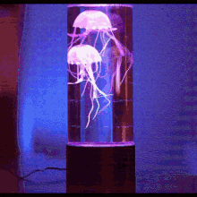 Jellyfish Lamp GIF - Jellyfish Lamp Light GIFs