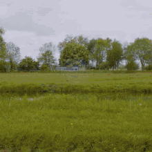 anwb wegenwacht auto pech pechhulp anwb wegenwacht auto pech pechhulp