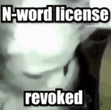 N Word License Revoked No More N Word GIF - N Word License Revoked No More N Word GIFs