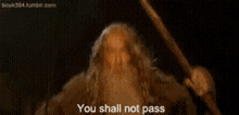 you shall not pass lord of the rings lotr gandalf