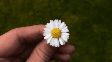 Flower White Flower GIF - Flower White Flower Spin GIFs