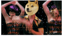 fud tunahands tunahands2 dogearmy fud tunahands tunahands2 dogearmy