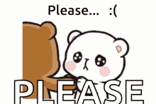 Please Cute GIF - Please Cute Bear GIFs