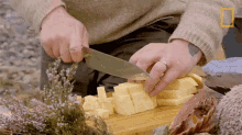 Slicing Cheese Gordon Ramsay Uncharted GIF - Slicing Cheese Gordon Ramsay Uncharted Cheese GIFs