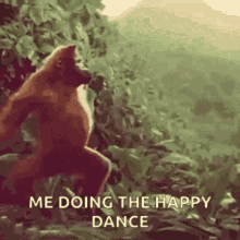 my dancing