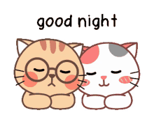 cat goodnight