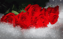 Gliiering Rose Bunch Roses In White Glitter GIF - Gliiering Rose Bunch Roses In White Glitter GIFs