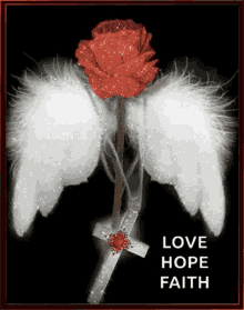 Red Rose Faith GIF - Red Rose Faith Hope GIFs