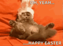Happy Easter Funny GIF - Happy Easter Funny Oh Yeah GIFs