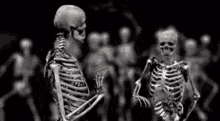 Skeletons Dancing Dance GIF - Skeletons Dancing Dance GIFs