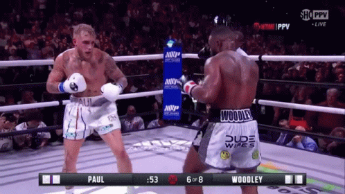 Jake Paul Knock Out GIF - Jake Paul Knock Out Tyron Woodley - Discover &  Share GIFs