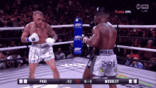 jake paul knock out tyron woodley cold destroyed