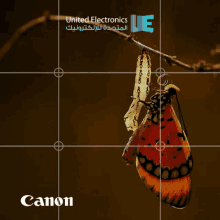 Canon Photography GIF - Canon Photography Rule Of Thirds GIFs