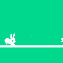 Funny Rabbit GIF - Funny Rabbit GIFs