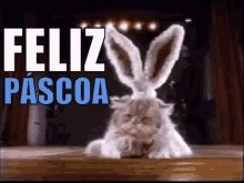 Feliz Páscoa / Coelho Da Páscoa / Coelinho GIF - Easter Happy Easter Bunny GIFs