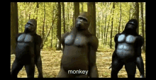 Monkeys Gorilla GIF - Monkeys Gorilla Dance GIFs