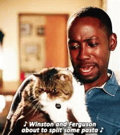 New Girl Cats GIF - New Girl Cats Winston GIFs