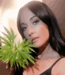 Kacey Golden Hour GIF - Kacey Golden Hour Weed GIFs