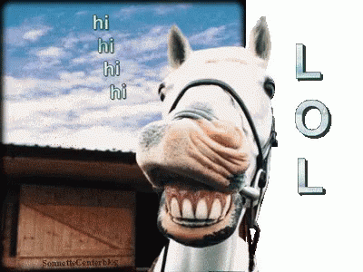 Horse Hi GIF - Horse Hi Lol - Discover & Share GIFs