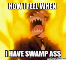 Swamp Ass GIF - One Piece Swamp Ass Swampy Ass GIFs