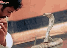 Snake Charmer Gif