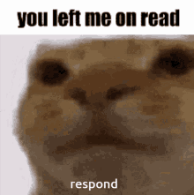 You Left Me On Read Respond GIF - You Left Me On Read Respond Respond To Me GIFs