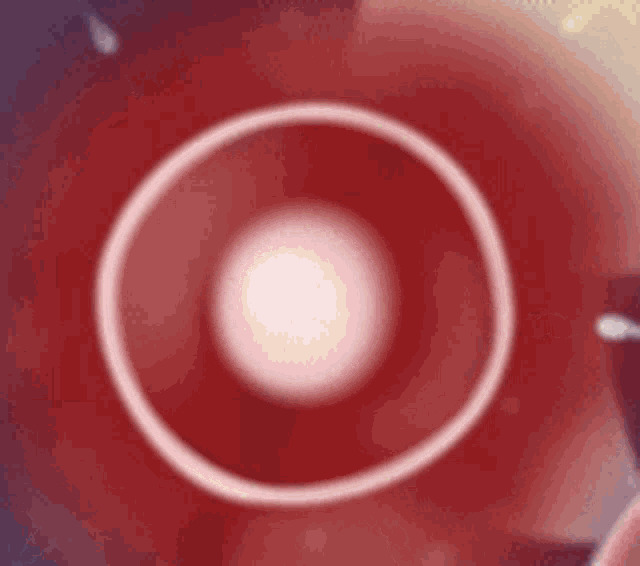 The perfect Impregnation Sperm Cells Egg Cell Animated GIF for your convers...