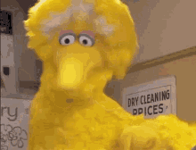 Dancing Big Bird GIF - Dancing Big Bird Sesame Street GIFs