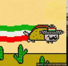 Nyan Cat Celebrates Cinco De Mayo GIF - Mexico Cincodemayo May5 GIFs