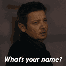 Whats Your Name Mike Mclusky GIF - Whats Your Name Mike Mclusky Jeremy Renner GIFs