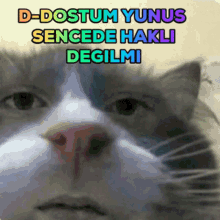 yunus gitdin gitdin mp3 indir