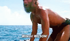 Wilson! GIF - Wilson Castaway Sea GIFs