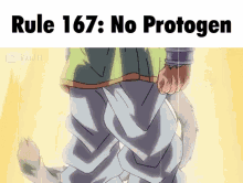 rule167 no protogen