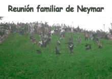 Neymar Rolling GIF - Neymar Rolling Reunion GIFs