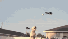 Me Vs. Goals GIF - Me Goals Fail GIFs