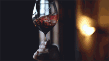 Red Wine Wine Glass GIF - Red Wine Wine Glass GIFs