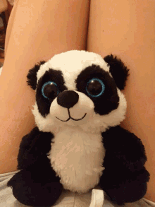 Panda Stuffed Toy GIF - Panda Stuffed Toy Shh GIFs