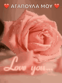 Love Rose GIF - Love Rose Flower GIFs