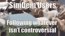 Sim Democracy Controversial GIF - Sim Democracy Controversial Sheep GIFs